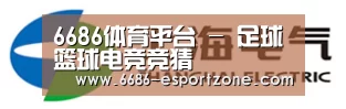 上汽电器