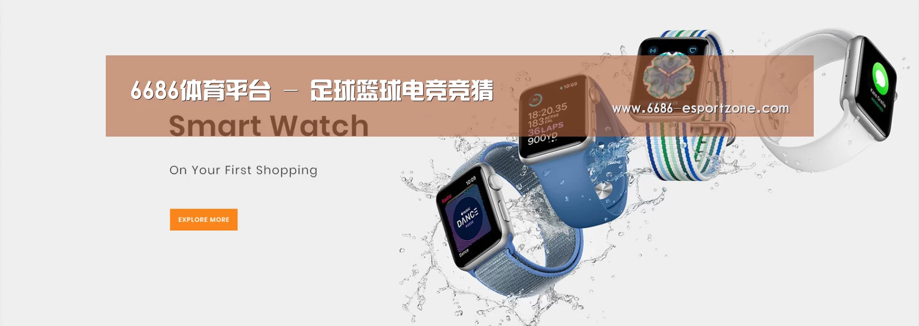 某某网络科技有限公司