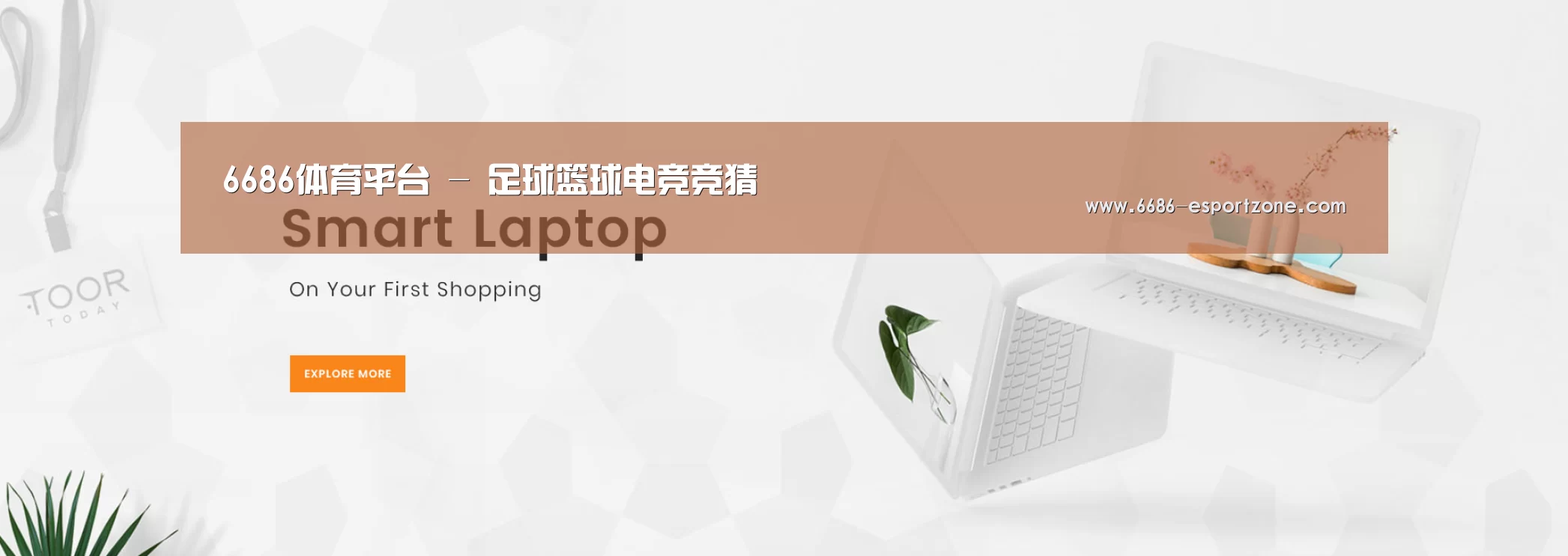 某某网络科技有限公司