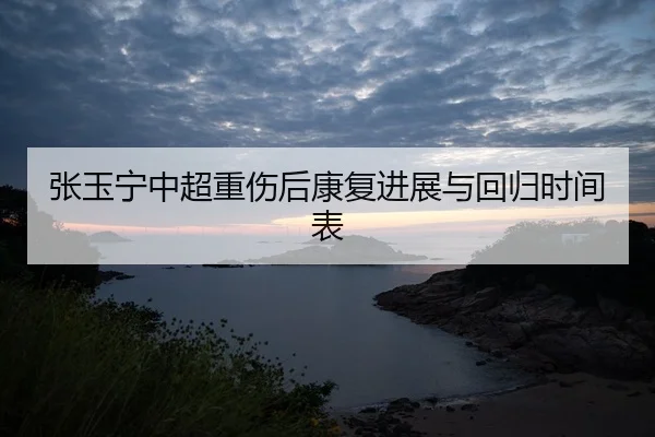 张玉宁中超重伤后康复进展与回归时间表